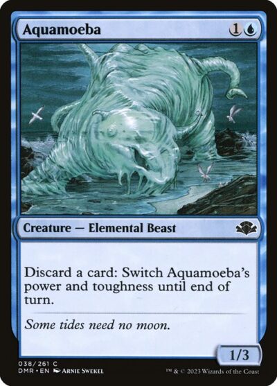 Aquamoeba